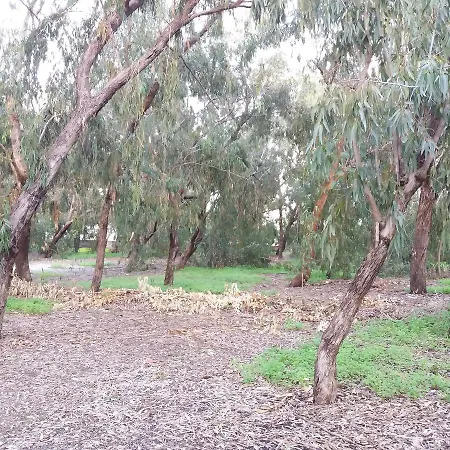 Miltos House Larnaca